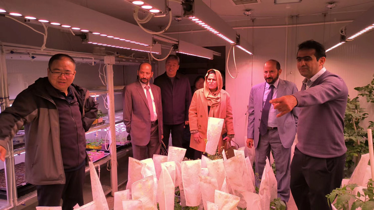 1699943173386634.jpg 2_副本.jpg