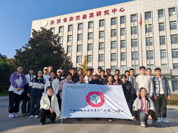 1700451169812851.png 图片1_副本.png