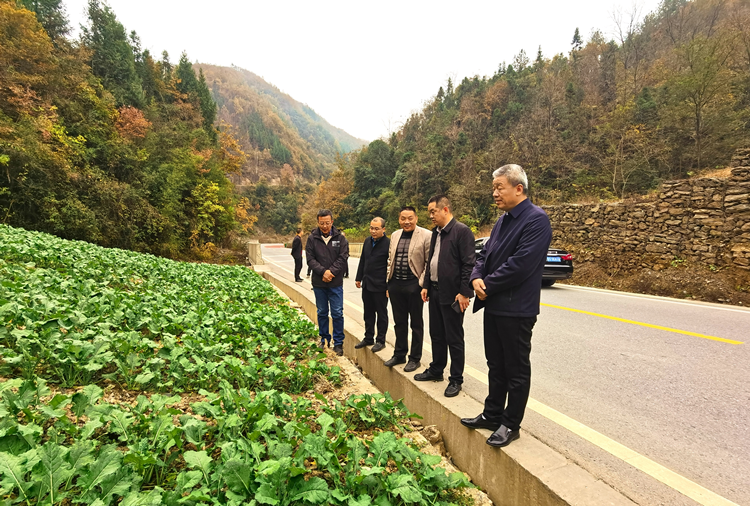 1700807439983862.png 图片1_副本.png