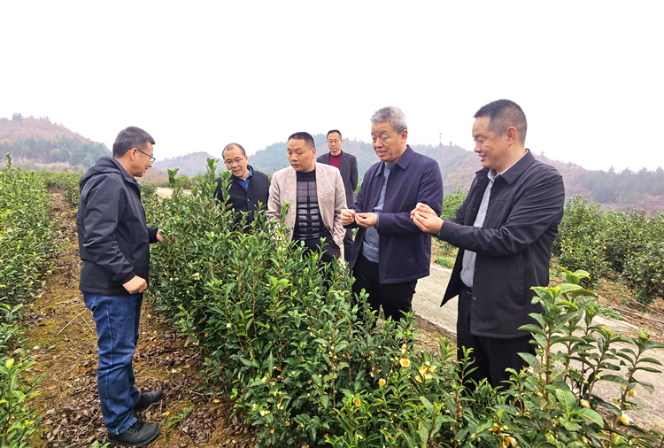 1700807458664237.png 图片2_副本.png