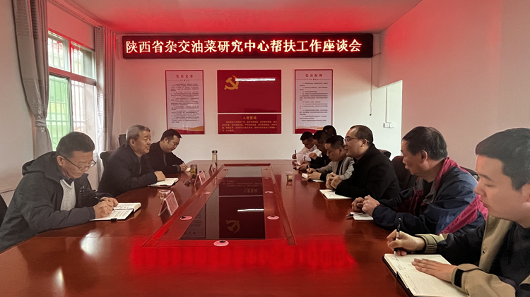 1700807475692900.png 图片3_副本.png