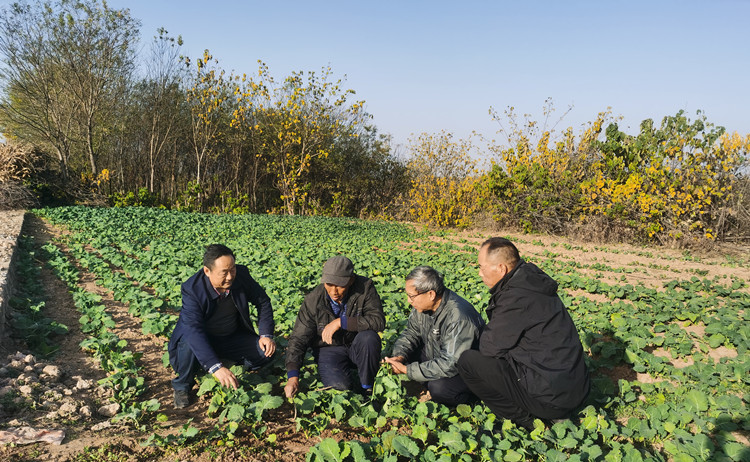 1701072470910951.jpg 1_副本.jpg