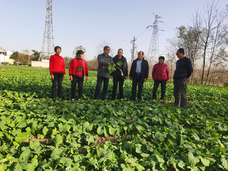 1701072483657100.jpg 2_副本.jpg