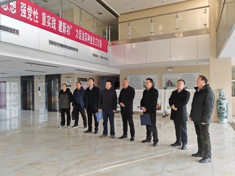 1701218783409502.jpg 1_副本.jpg