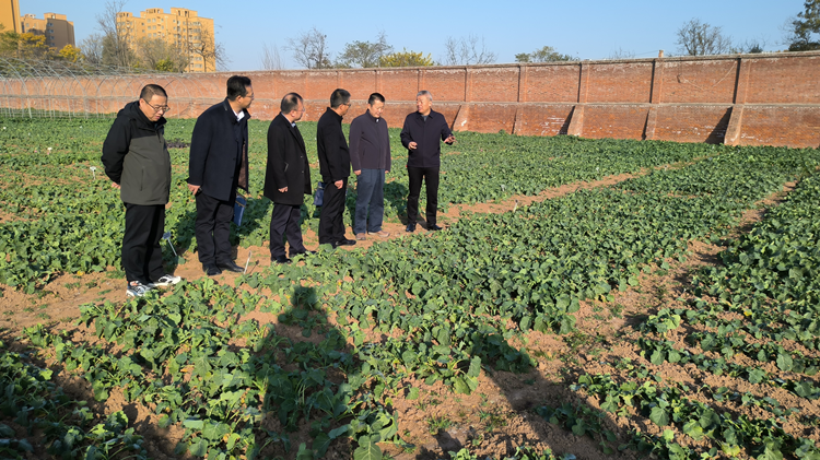 1701218801349653.png 2_副本.png