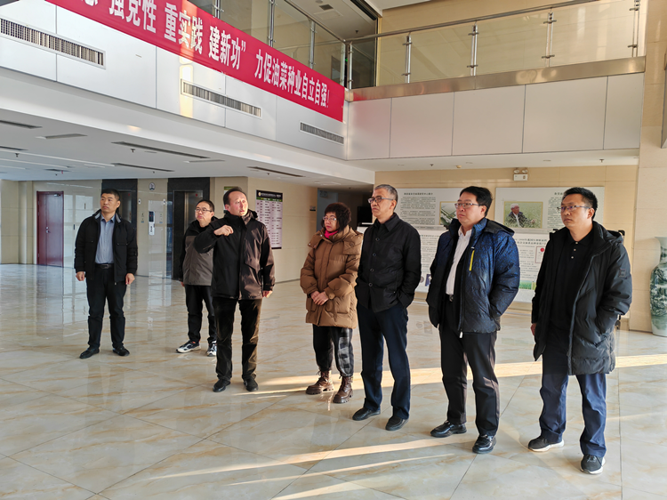 1701658534646806.png 图片1_副本.png