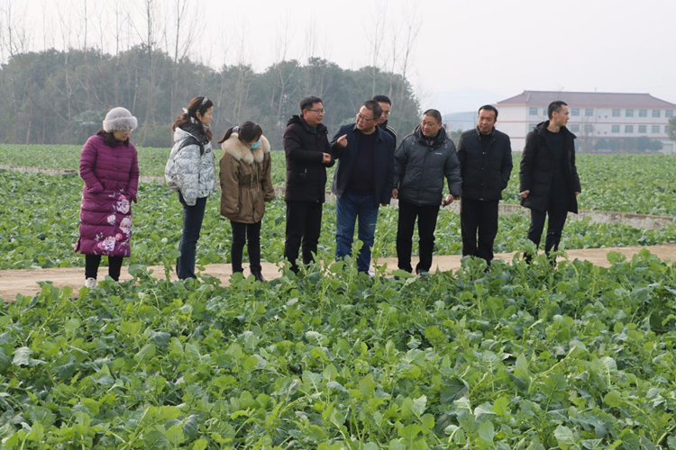 1703573226310996.png 汉中市南郑区阳春镇阳光村调研_副本.png