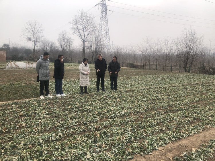 1704160494860663.jpg 2_副本.jpg