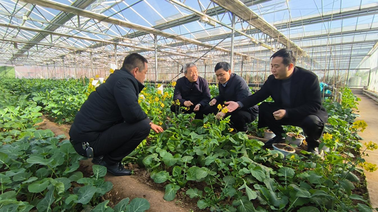 1704961195746775.png 图片1_副本.png