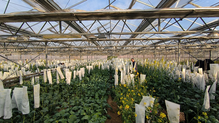 1706145710393177.jpg 1_副本.jpg