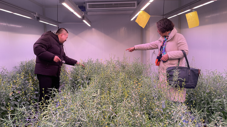 1706489545740148.jpg 1_副本.jpg