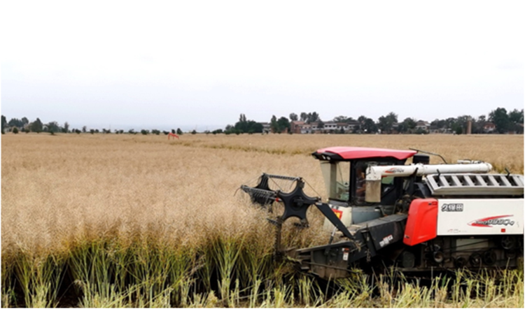 1706864633641374.png 2_副本.png