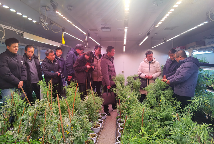 1708658843934606.png 图片2_副本.png