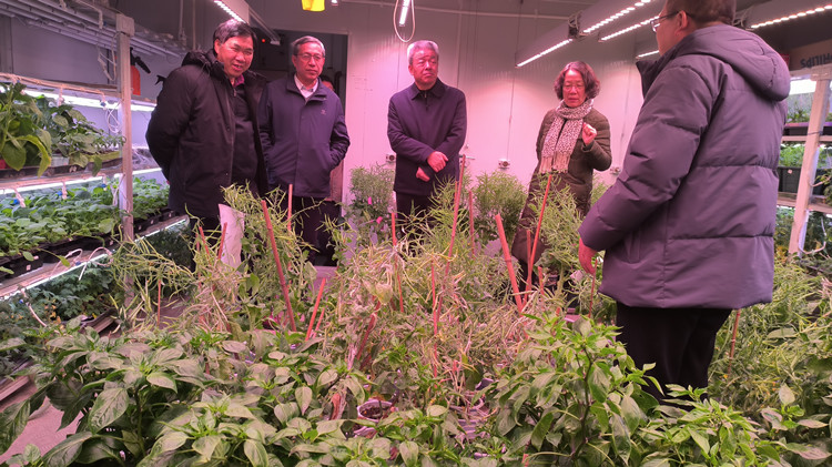 1708911550775051.jpg 2_副本.jpg