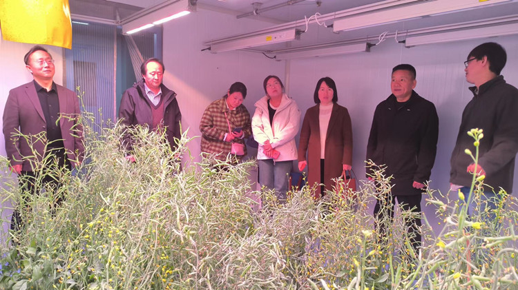 1710138597215086.jpg 2_副本.jpg