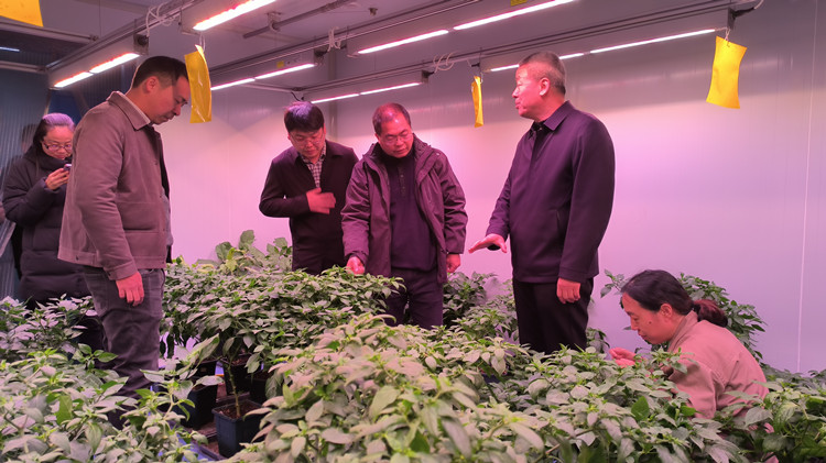 1710722362669211.jpg 2_副本.jpg