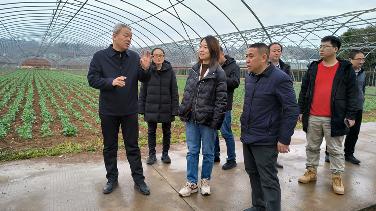 1710722374576433.jpg 3_副本.jpg