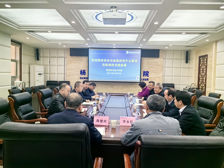 1711354849121843.png 图片2_副本.png