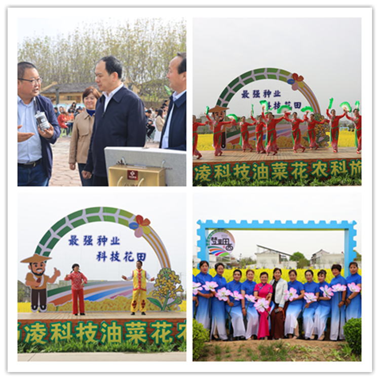 1712475164908835.png 111_副本.png