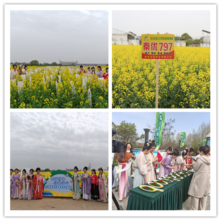 1712475181912996.png 222_副本.png