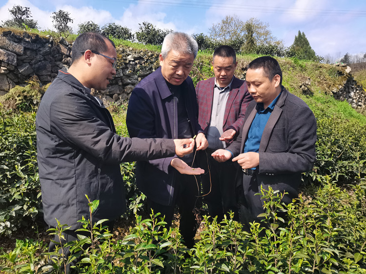 1712631422205120.jpg 1_副本.jpg