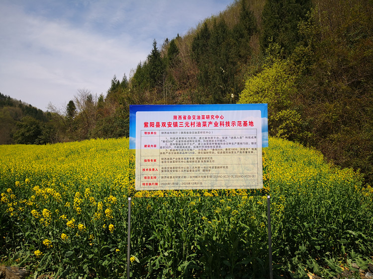 1712631449538880.jpg 3_副本.jpg