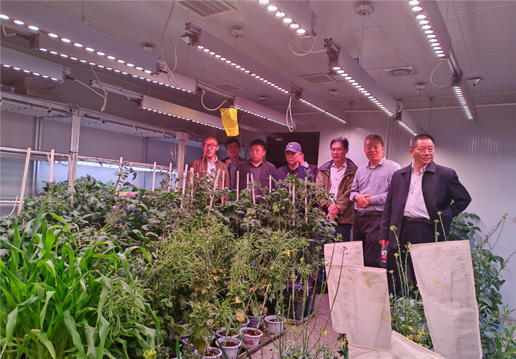 1713426150845321.jpg 2_副本.jpg