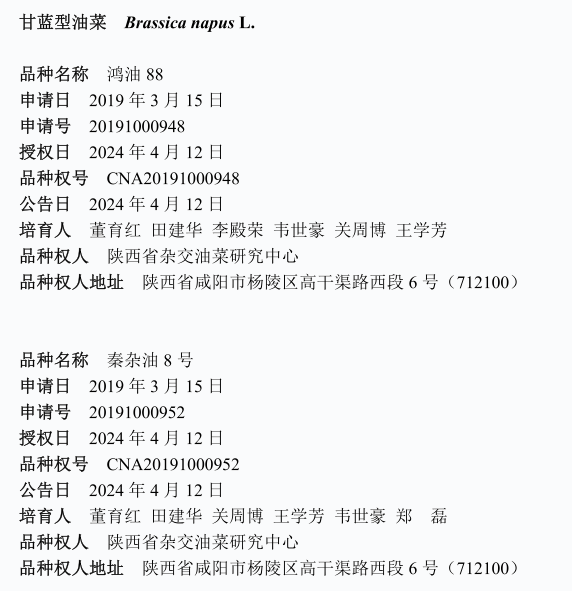 1714026944853993.png 图片1.png