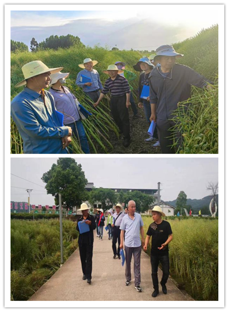 1714962995228840.png 未命名_副本.png