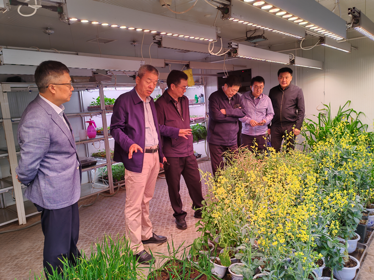 1715063840827342.png 图片2_副本.png