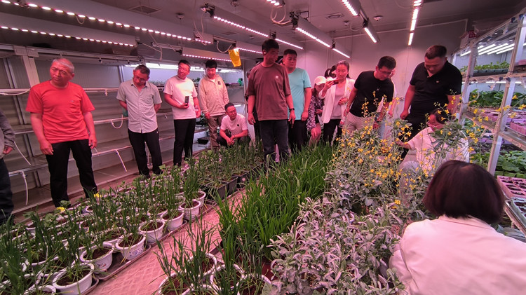 1715743520781209.jpg 3_副本.jpg