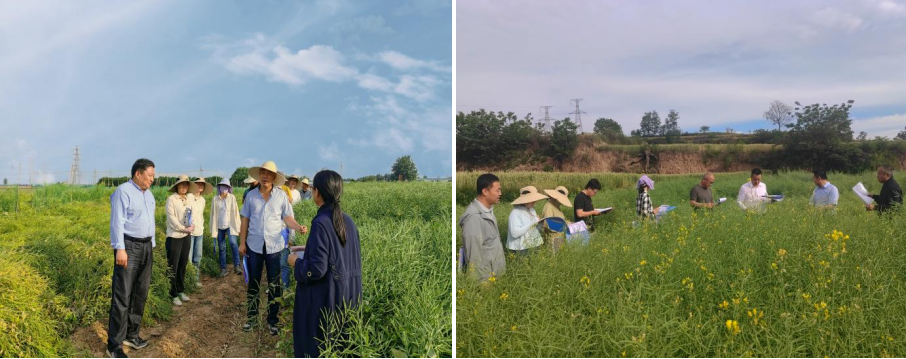 1716273668242826.png 图片2.png