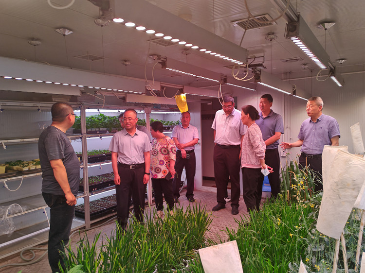 1717123872681136.jpg 2_副本.jpg