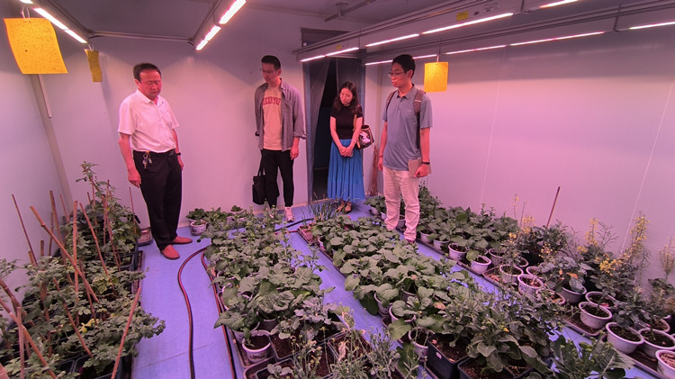 1718354706277732.jpg 2_副本.jpg