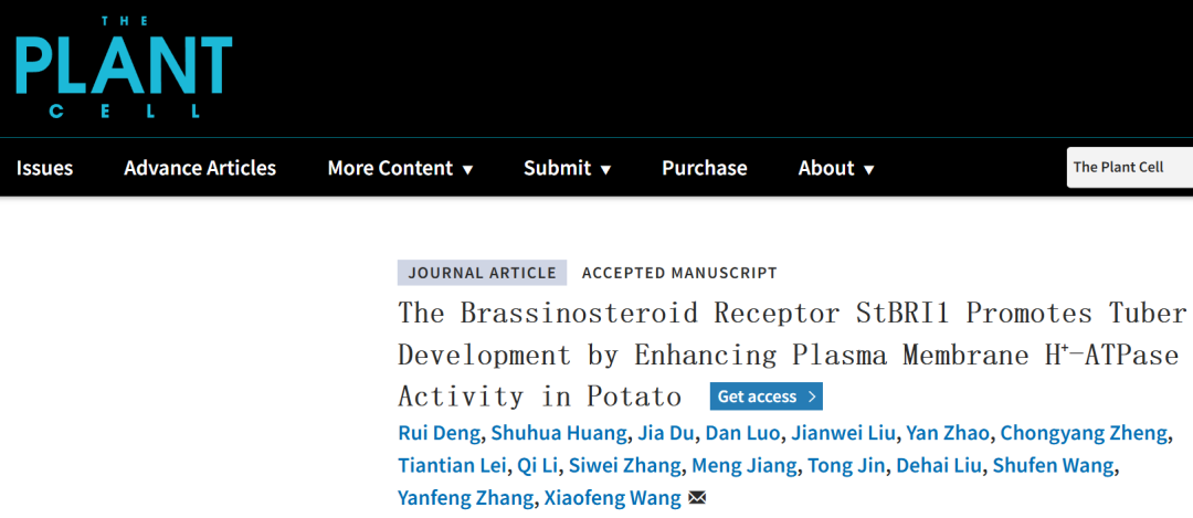 1721350416572845.png 图片1.png