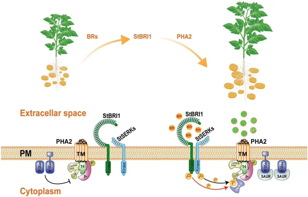 1721350429340998.png 图片2.png