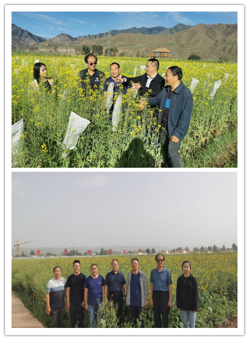 1721696385529171.png 111.png