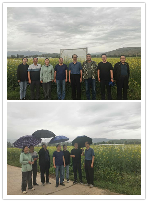 1721696634950000.png 222.png