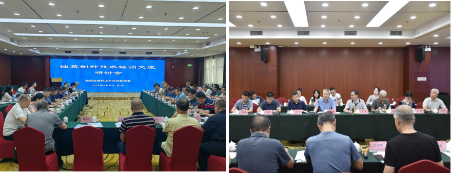 1723536012691504.png 图片1.png