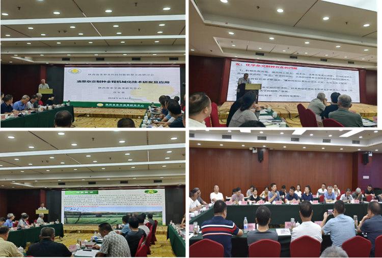 1723536067861815.png 图片2_副本.png