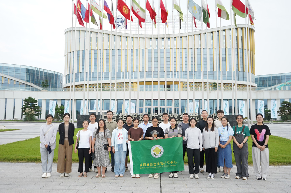 1724037319310852.jpg 1_副本.jpg