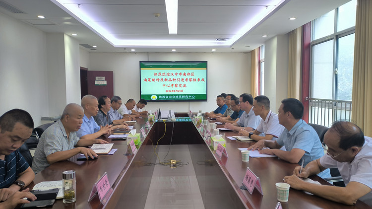 1724202396175924.jpg 2_副本.jpg