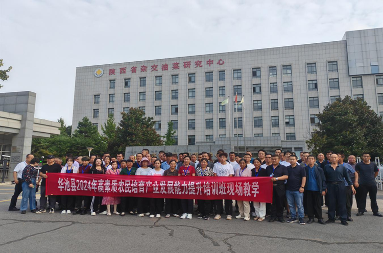 1724894454586722.png 图片1_副本.png