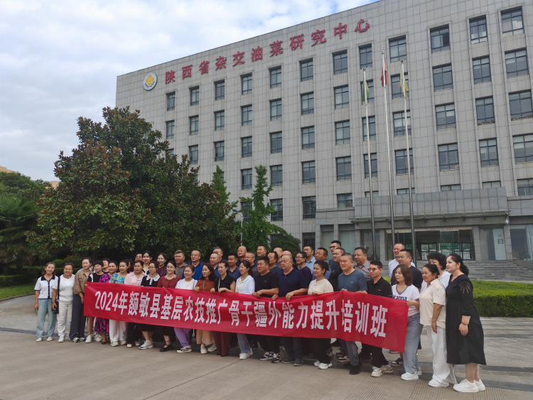 1726026164134347.png 图片1.png