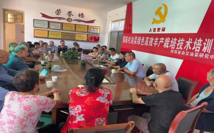 1726649132677928.png 图片3.png