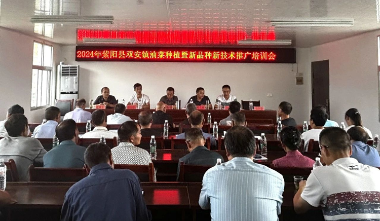 1727572242176844.png 图片1_副本.png