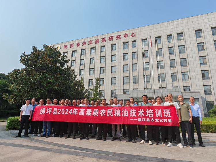 1727576199533866.png 图片1_副本.png