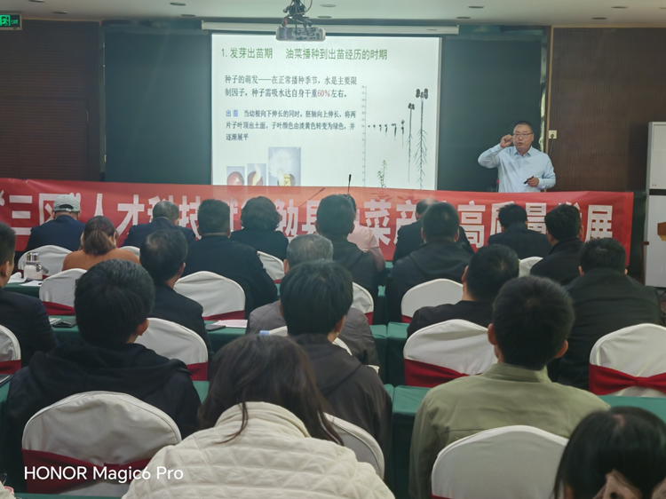 1730086291541163.png 1_副本.png