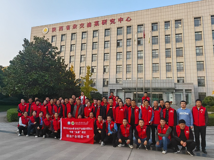 1731053896681718.jpg 1.png_副本.jpg