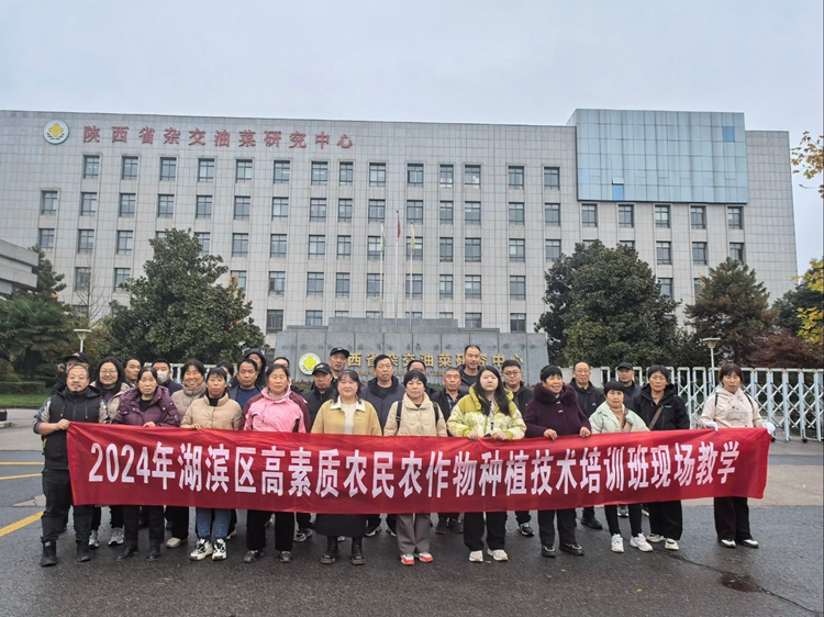 1732591532162367.png 图片1_副本.png